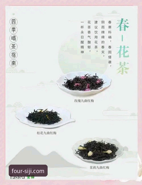 四季官方平台与体验版对比分析：官方版本与体验版选择指南